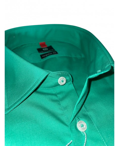 Cămașă bărbaţi verde REGULAR