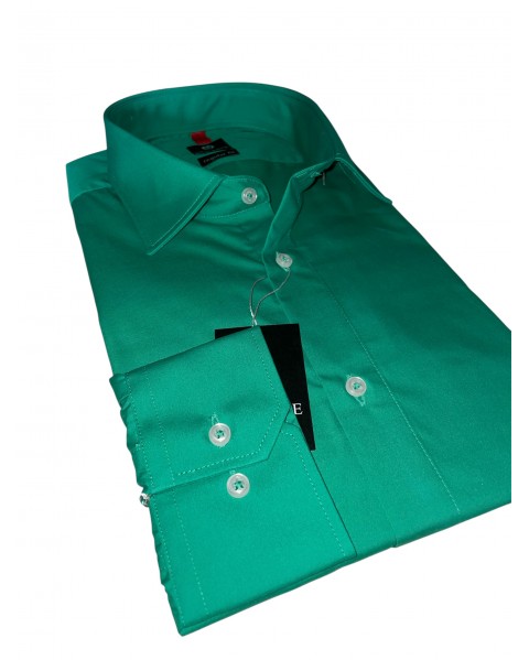 Cămașă bărbaţi verde REGULAR