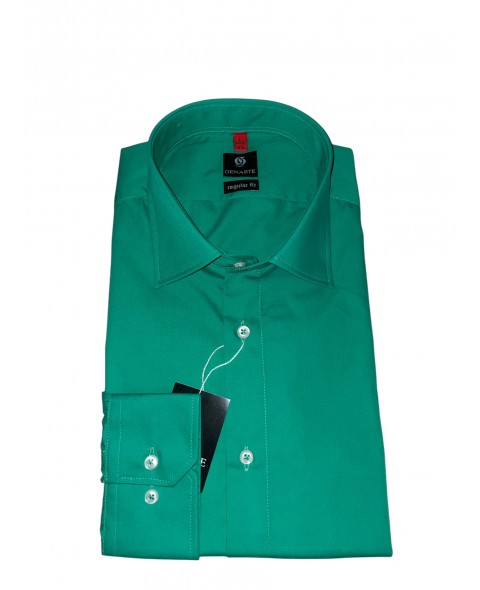 Cămașă bărbaţi verde REGULAR